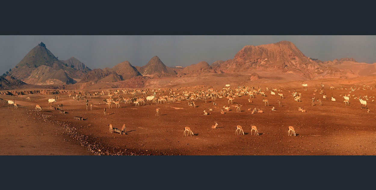 Abu Dhabi - Sir Bani Island <font style='font-size:10px;color:#aaaaaa;float:right;'> picture not for sale</font>